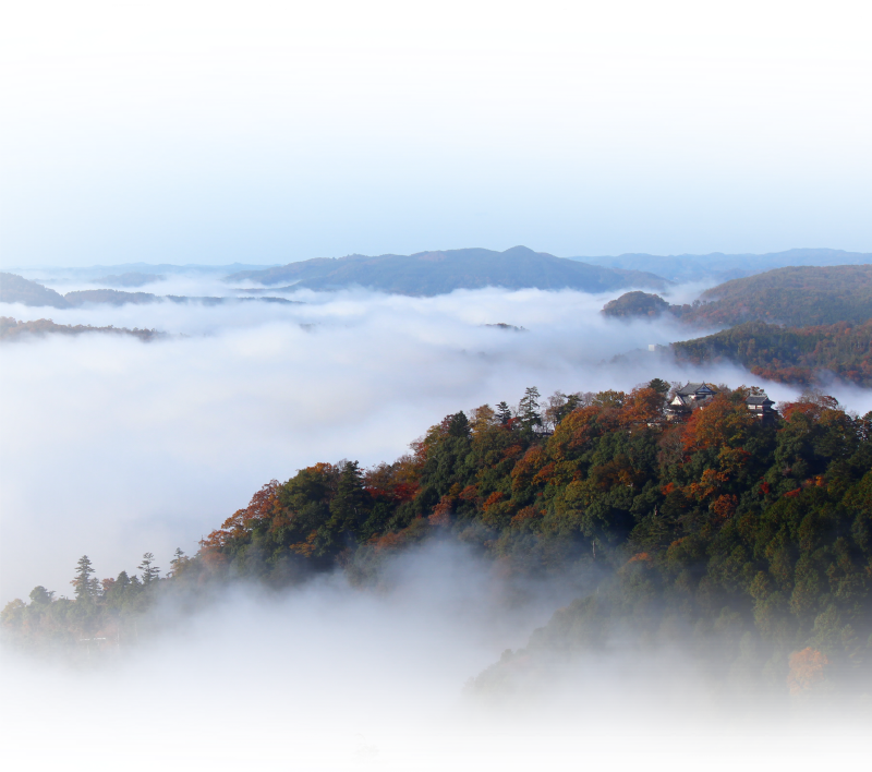 雲海の中の備中松山城の写真